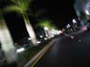 * Thumbnail image: Cruising down a typical palm-lined street